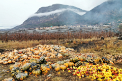 20200126_Remollon_Plaine_4_redimensionner