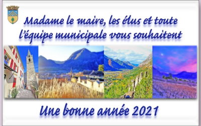 Bonne Année 2021