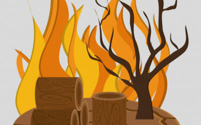 Protégeons nos maisons et notre forêt des incendies