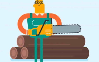 Mise à disposition de bois à la découpe
