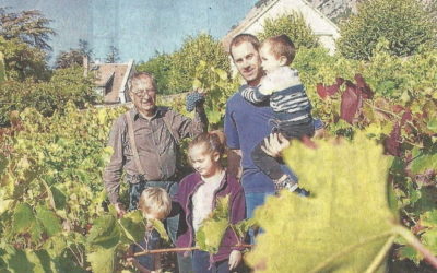Le temps des vendanges