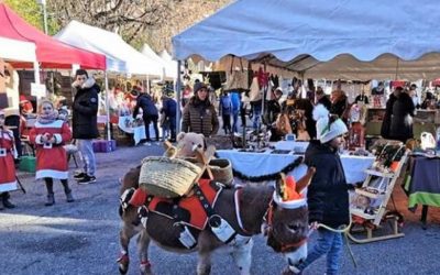 70 exposants attendus au marché de Noël