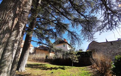 Nous aimons les arbres !