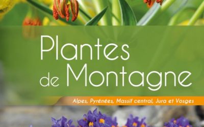 Plantes de Montagne
