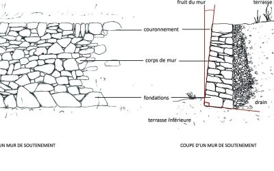 Participez à votre rythme à la rénovation d’un vieux mur en pierres sèches à Remollon !