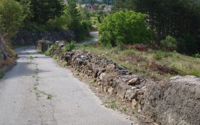 Un premier chantier International pour le village