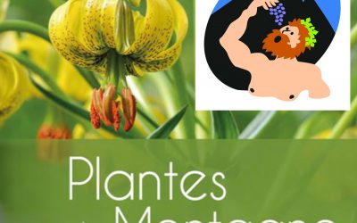 Journées du Patrimoine des 17 et 18 septembre – Visite du musée et présentation du livre “Plantes de Montagne”