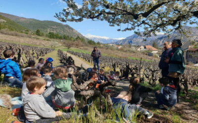 Les écoliers découvrent le patrimoine du village