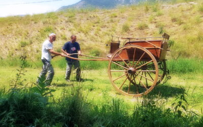 Le Musée du Vigneron s’enrichit d’une nouvelle pièce exceptionnelle !