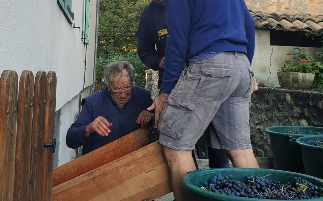 Les grands crus régionaux bientôt prêts à la dégustation