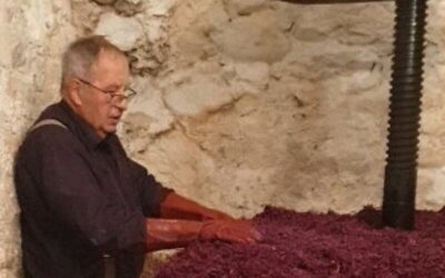 Entre tradition et modernité, le pressage de la cuvée de la Clochère