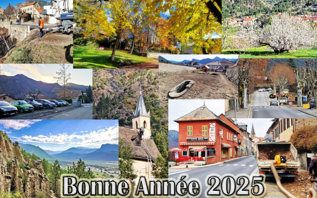 Voeux 2025