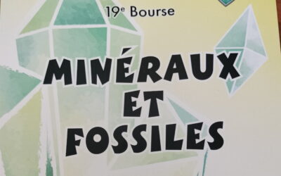19ème Salon des minéraux et fossiles à Espinasses