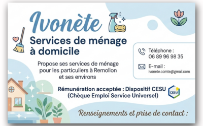 Ivonète, Service de ménage à domicile
